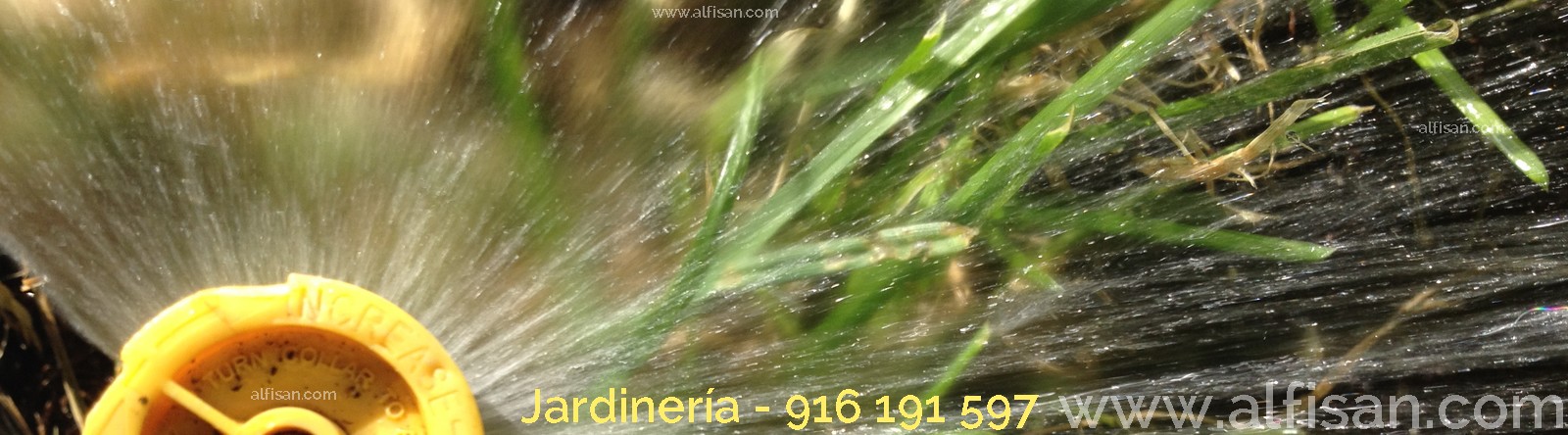 Especialistas en jardines en Humanes